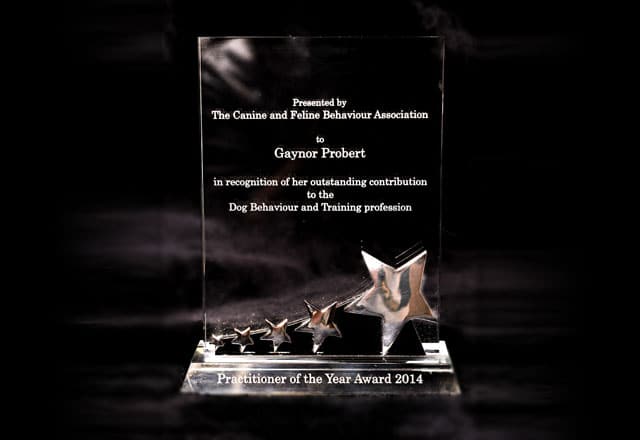 CFBA Practitioner of the year