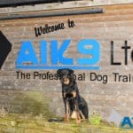 Beauceron dog Bardot