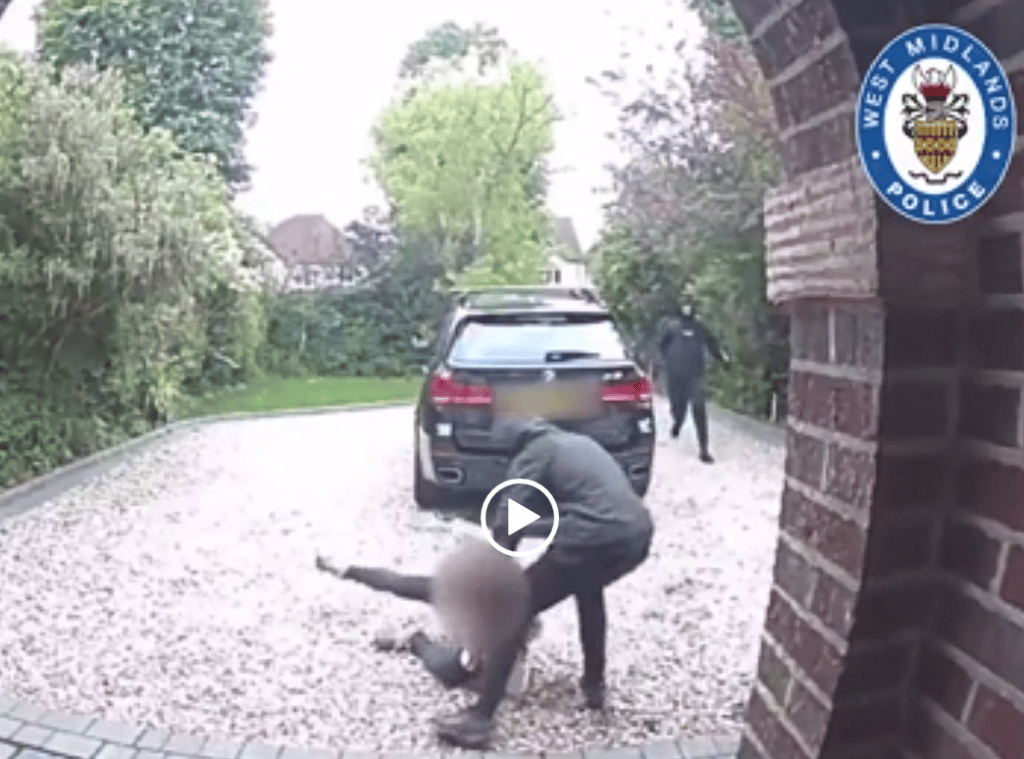 car crime family protection dog