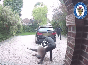 car crime family protection dog