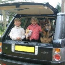 57-300x227 A1K9 Protection Dogs