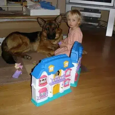 Axel-Personal-Protection-Dog-Testimonial.jpg Axel-Personal-Protection-Dog-Testimonial.jpg