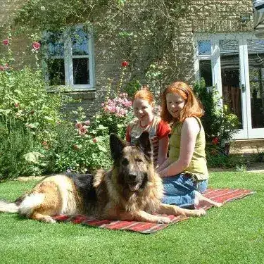 Major-Personal-Protection-dog.jpg Major-Personal-Protection-dog.jpg