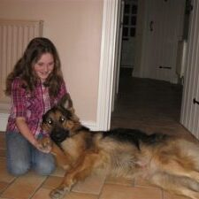 Phil-and-Sharon-P-300x225 Phil and Sharon Personal Protection Dog