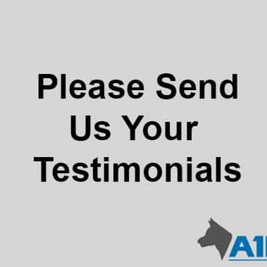 testimonials Testimonials